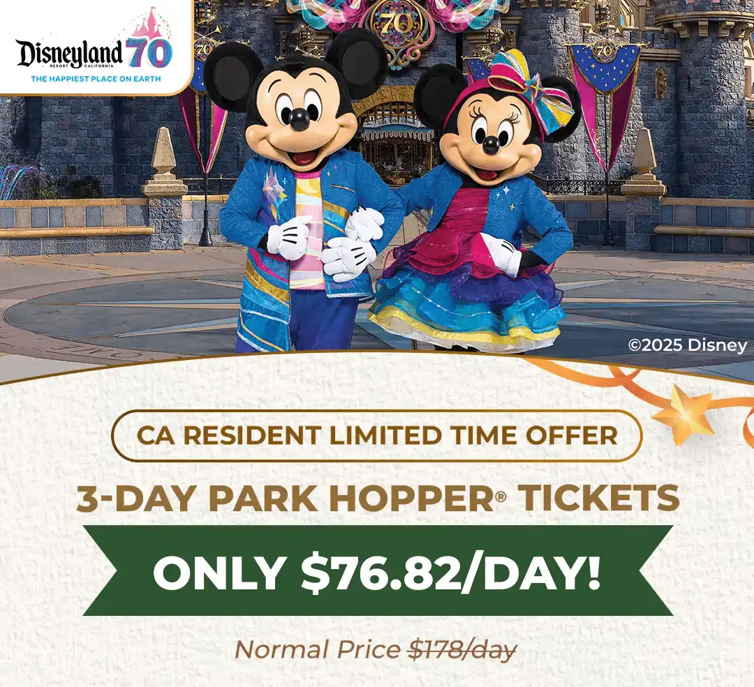 Disneyland Rory Offer Image