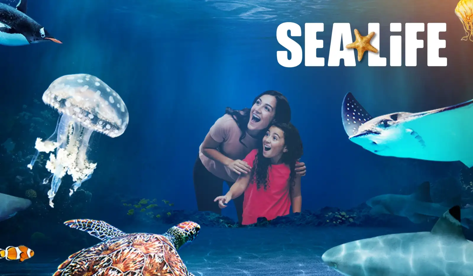 Sea Life Aquarium, New Jersey