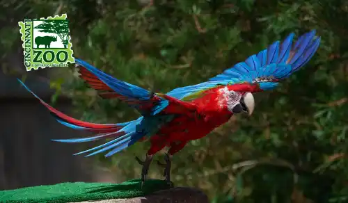 Cincinnati Zoo & Botanical Garden