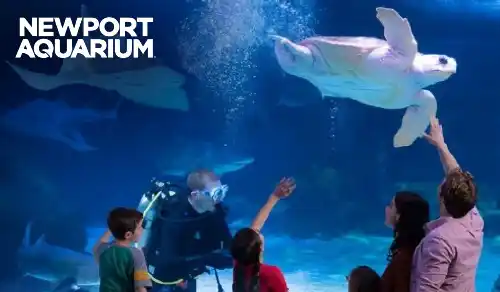 Newport Aquarium