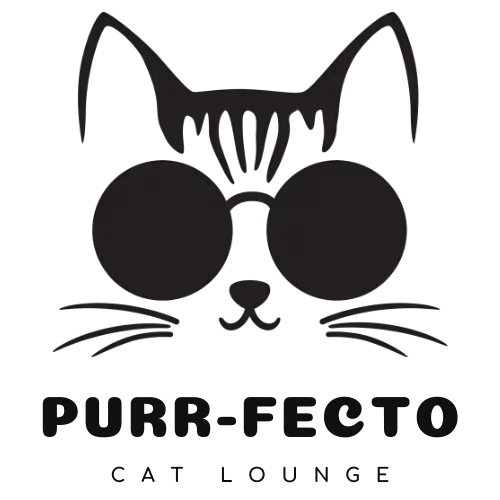 Ultimate cat experience at Austin's cat cafe