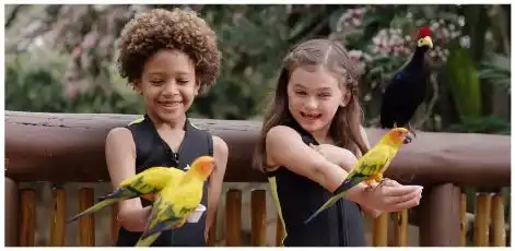 12 Saving Tips: How to Save Money at Disney World Orlando