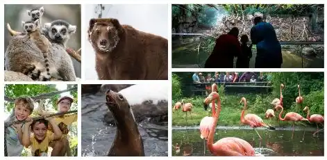 12 Saving Tips: How to Save Money at Disney World Orlando