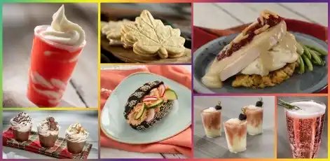 12 Saving Tips: How to Save Money at Disney World Orlando