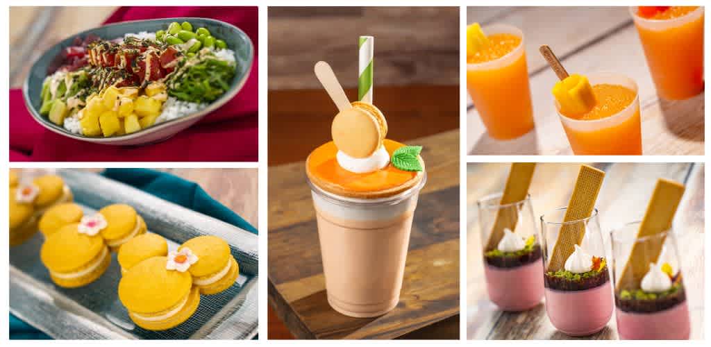A collage of colorful dishes and drinks including a salad, yellow cookies, fruit smoothies, and layered desserts with garnishes displayed on various surfaces.