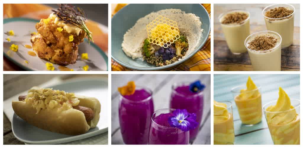 Six images of food and drinks including a savory dish, a dessert with honeycomb, creamy puddings, a hot dog, colorful beverages with flowers, and frozen treats.