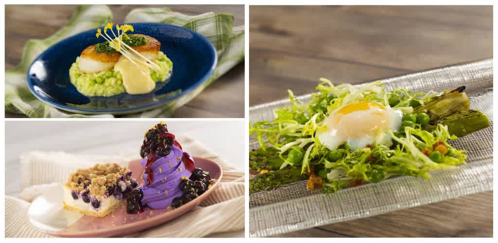 Images of three different dishes: a scallop appetizer with mashed peas, microgreens, and lemon on a blue plate; a berry crumble dessert with purple whipped cream and fruit; a fresh salad with a poached egg on a textured gray plate.