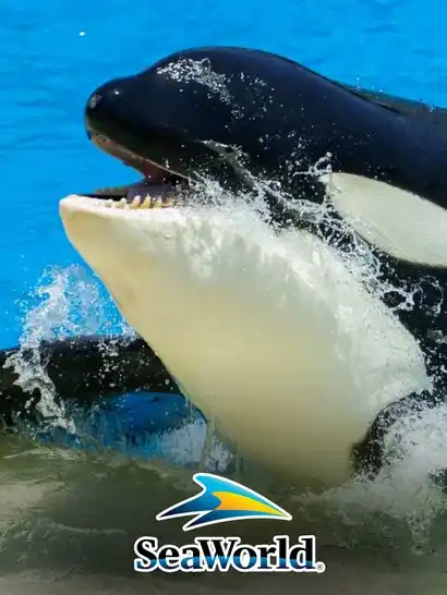 Seaworld