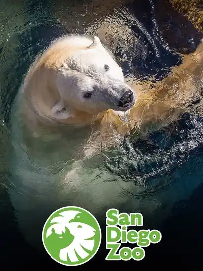 San Diego Zoo