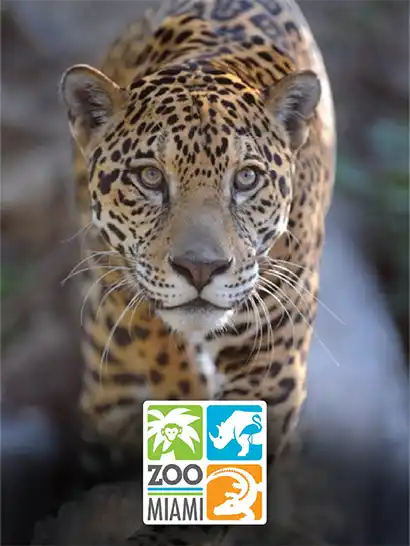 Zoo Miami