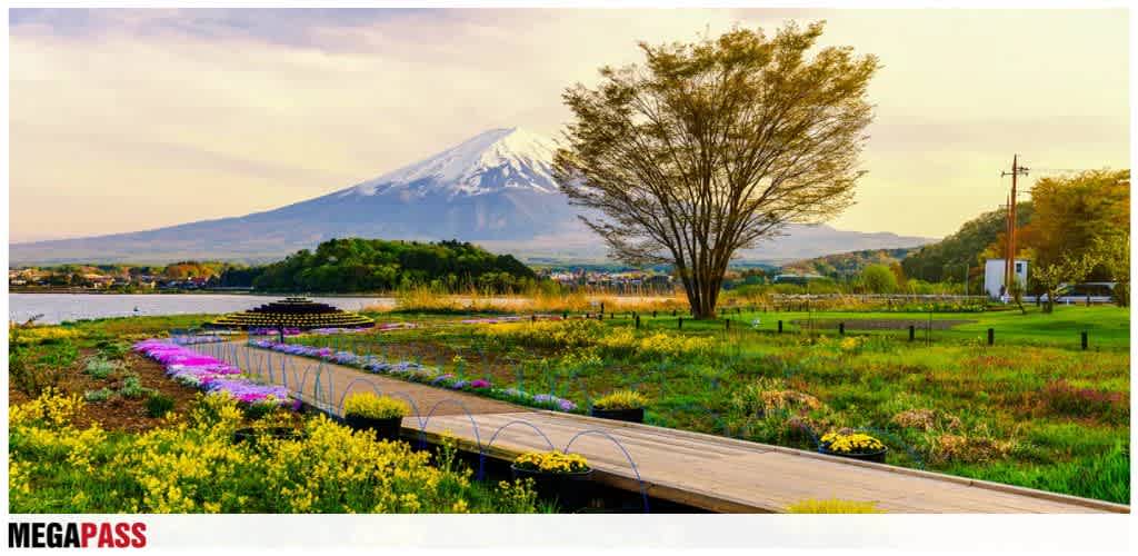A scenic view of a park with colorful flowers, a large tree, a body of water, and a snow-capped mountain in the background