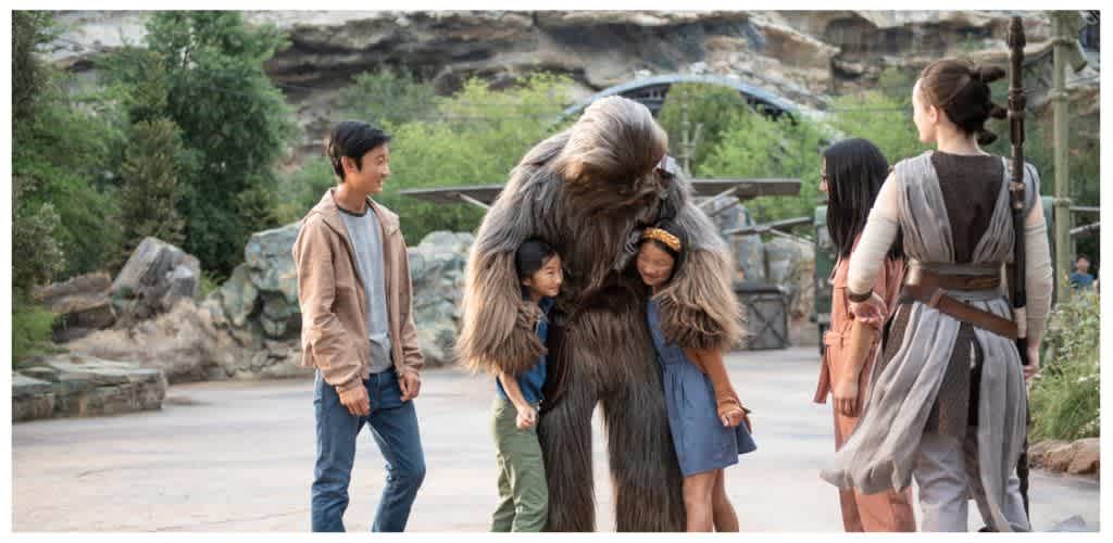 People and a person dressed as a Chewbacca character meeting visitors outdoors at a theme park