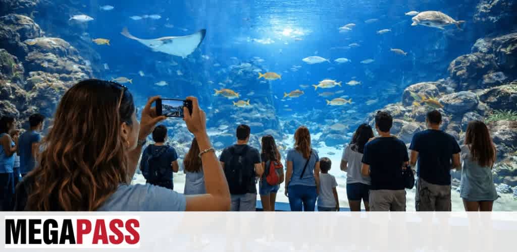 Group of people viewing and taking photos of an aquarium exhibit with various fish and marine life swimming overhead