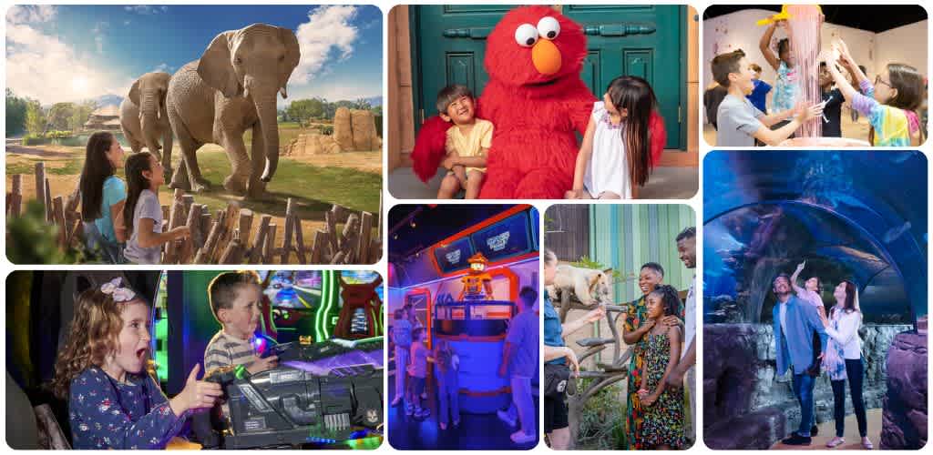 Children enjoying indoor and outdoor activities including animals, characters, games, and an arcade at Funex.