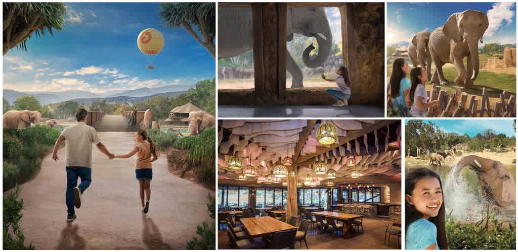 Children and adults enjoying a zoo with elephants, a jungle scene, a restaurant interior, and a hot air balloon in the sky