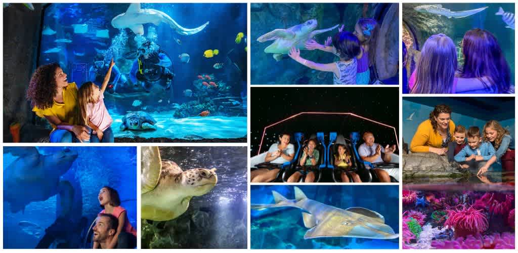 Children and adults enjoying aquarium exhibits including marine animals, interactive displays, immersive rides, and vibrant coral reefs.