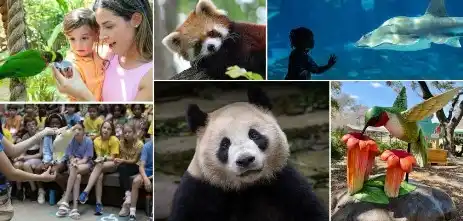 12 Saving Tips: How to Save Money at Disney World Orlando