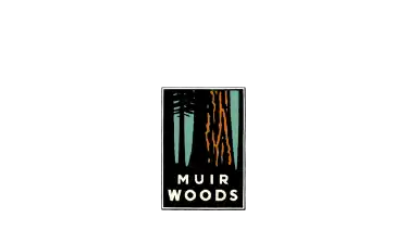 City & Woods: Hop-On Hop-Off Tour & Muir Woods Tour