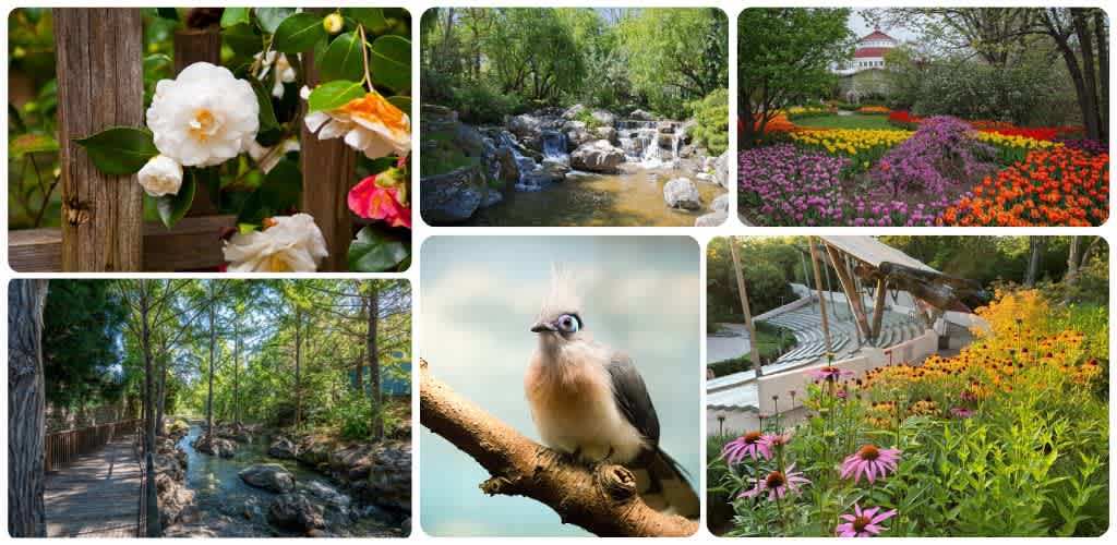 Collage of vibrant garden scenes with colorful flowers, a flowing creek, lush trees, a bird perched on a branch, and a scenic park with a pond and pavilion