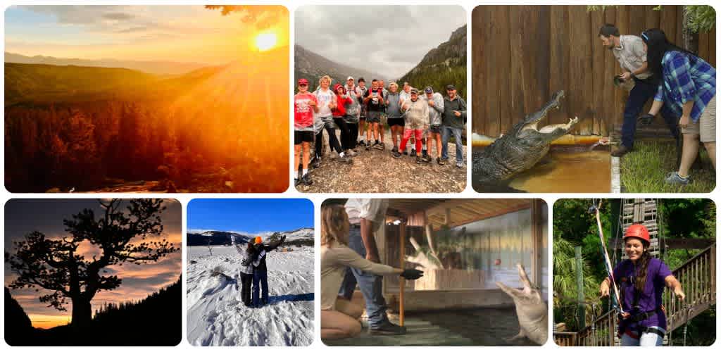 Group of people outdoors hiking and exploring nature with wildlife and indoor educational activities featuring animals and safety gear