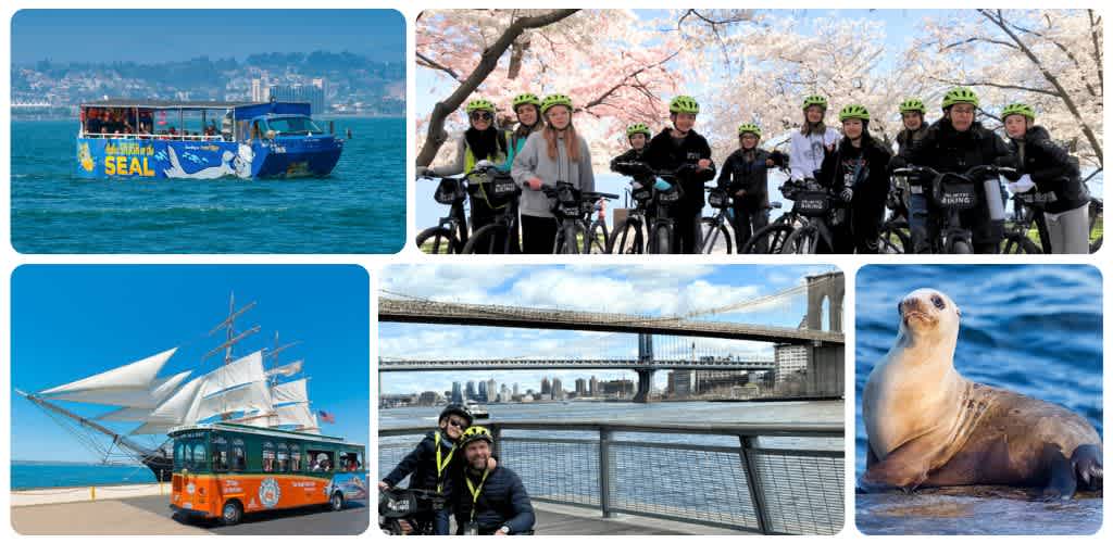Group of people enjoying a boat ride, cycling, historical ship, and a sea lion near water with city bridges in the background