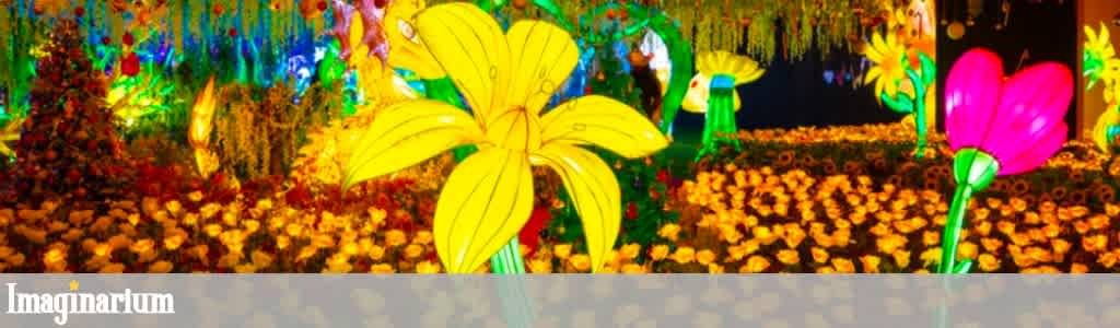 Colorful illuminated floral display featuring large yellow and pink flower sculptures surrounded by glowing plants and vibrant lights.
