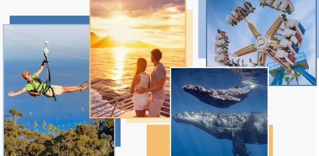 Images of outdoor adventures, a sunset at the beach, two people enjoying a sunset, a whale underwater, a roller coaster ride, and a zipline adventure