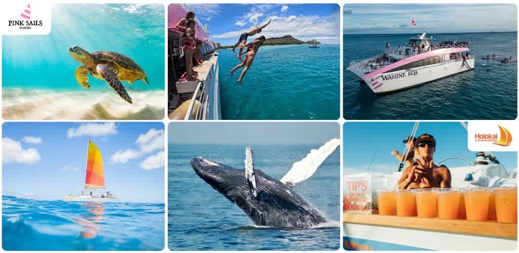 A collage of six images showing sea turtles swimming, people jumping from a boat, a boat on the water, a sailboat, a whale breaching, and a woman enjoying drinks on a boat.