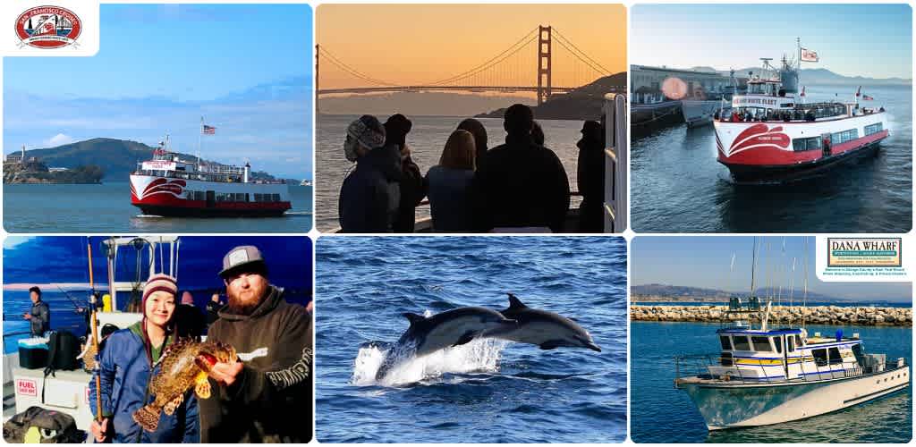Collection of images showcasing boats, a bridge, people, and a dolphin on the water at Dana Wharf San Pedro California