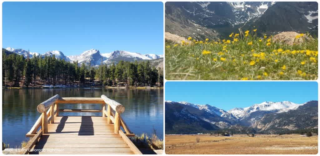 Scenic mountain landscape with snow-capped peaks, a lake with a wooden dock, and a meadow with yellow flowers under a clear blue sky