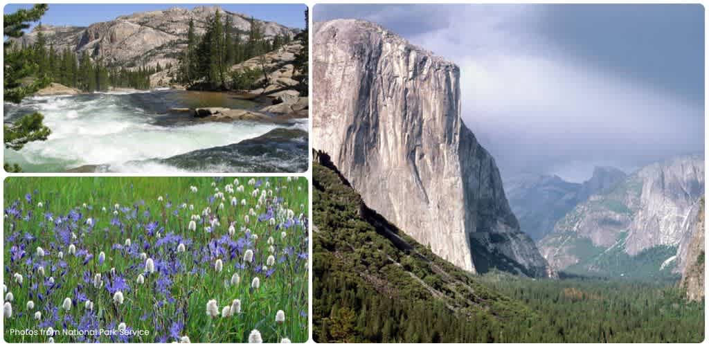 Three natural landscape photos featuring a river with rocks and trees, a mountain valley with cliffs, and a field of wildflowers with purple and white blossoms.