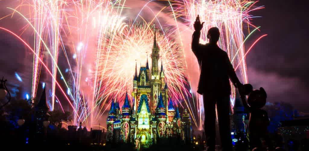 A person in front of a Disney castle watching colorful fireworks light up the night sky.