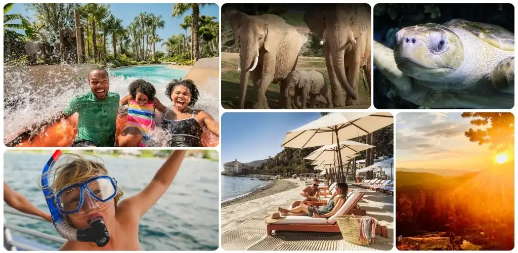 Group of smiling people enjoying water park, elephants walking outdoors, turtle swimming, child snorkeling, beach with umbrellas, and sunset over scenic landscape