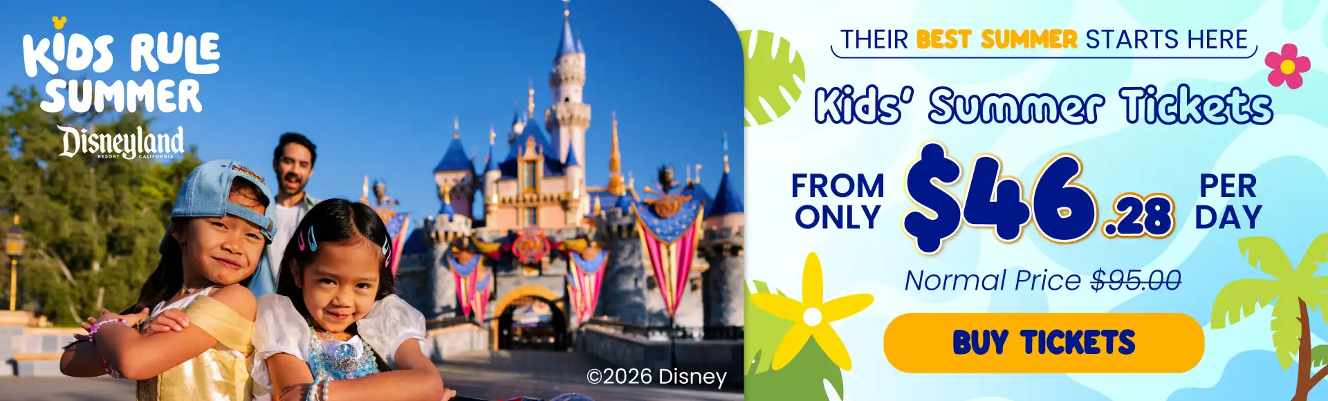 Disneyland Banner Image