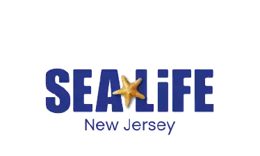 Sea Life Aquarium, New Jersey