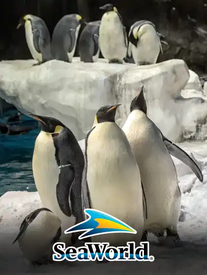 Seaworld