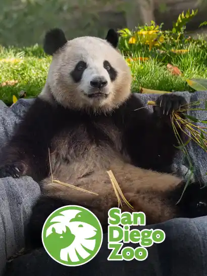 San Diego Zoo