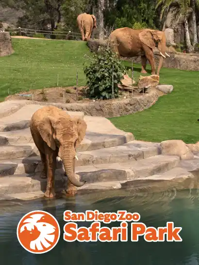 Safari Park