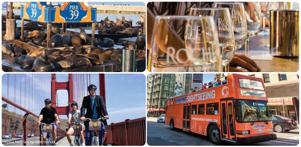 Group of seals on a dock along with wine glasses and a sightseeing trolley in an urban setting