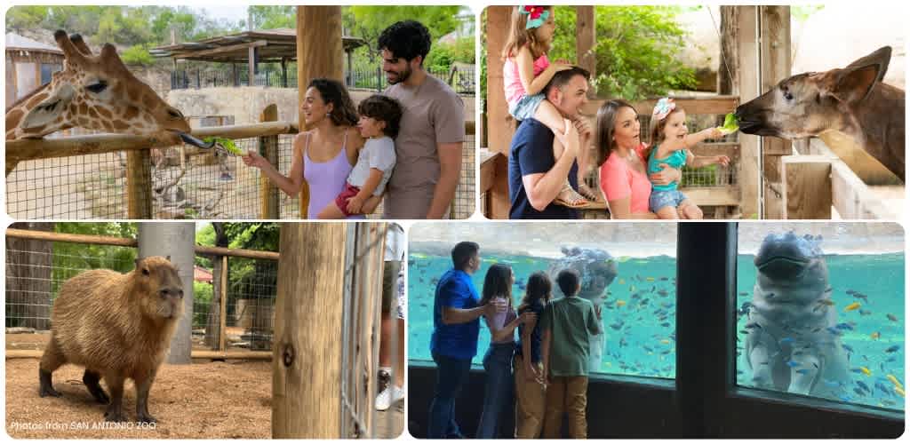 Visitors exploring animal exhibits including giraffes, otters, capybaras, and an underwater view of hippos and fish at a zoo or wildlife park