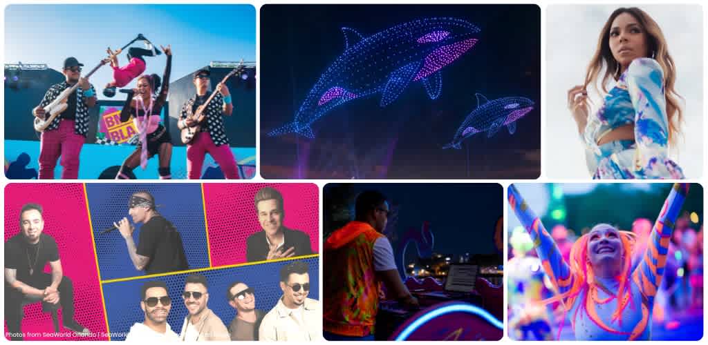 A collage of eight images featuring live music performances, a DJ, colorful lights, digital art of dolphins, and people enjoying entertainment at night and daytime events