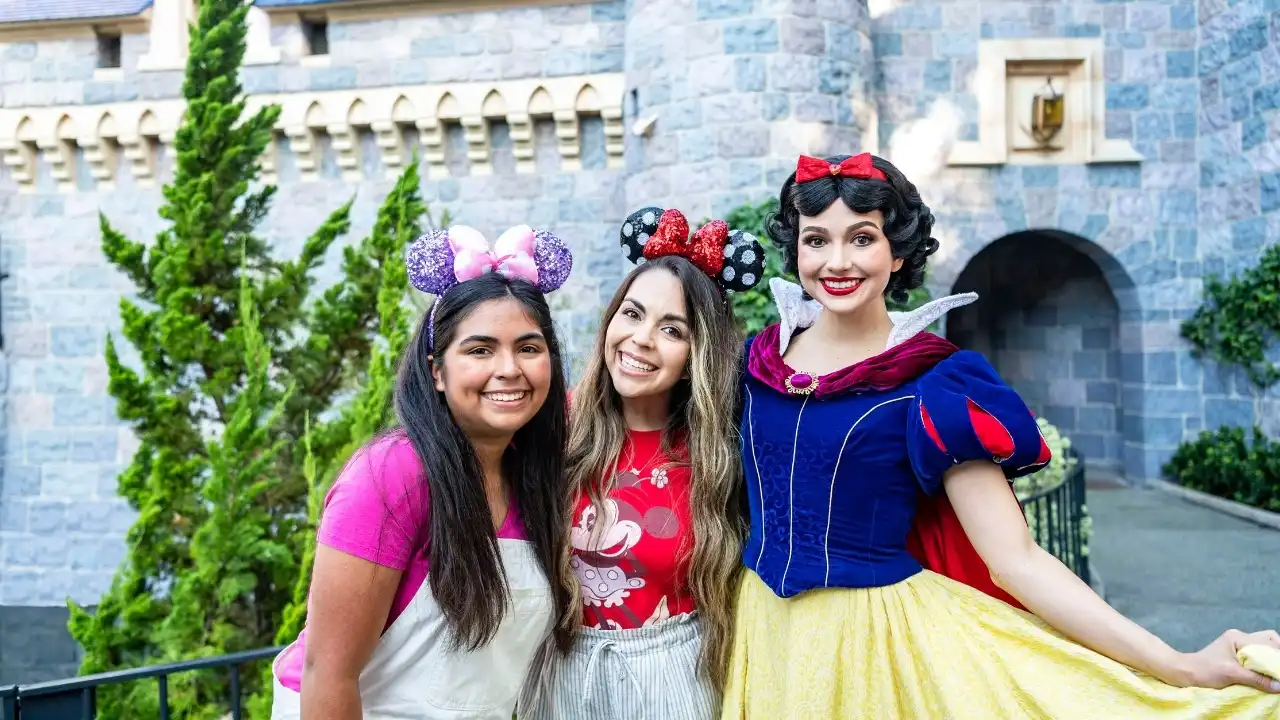 Mickey, Minnie, Chip and Dale in matching outfits at Sleeping Beauty Castle Disneyland