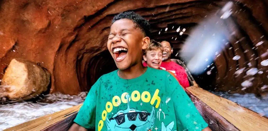 Experience a Dreamy Summer at Disneyland® Resort: Tips and Activities