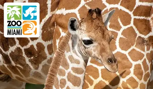 Zoo Miami