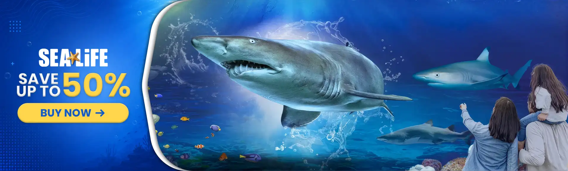 Sea Life