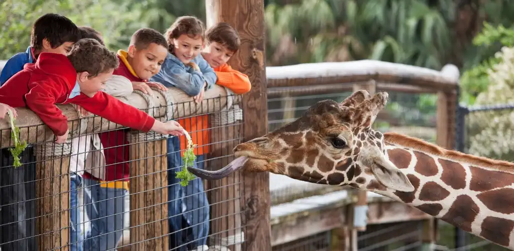 12 Saving Tips: How to Save Money at Disney World Orlando