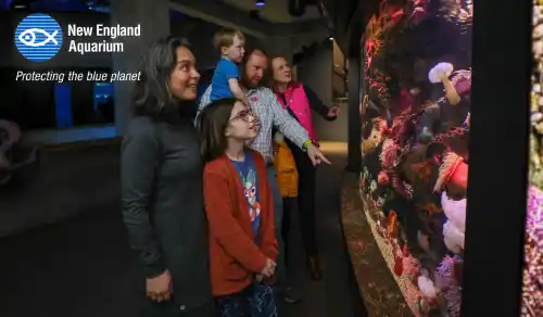 New England Aquarium