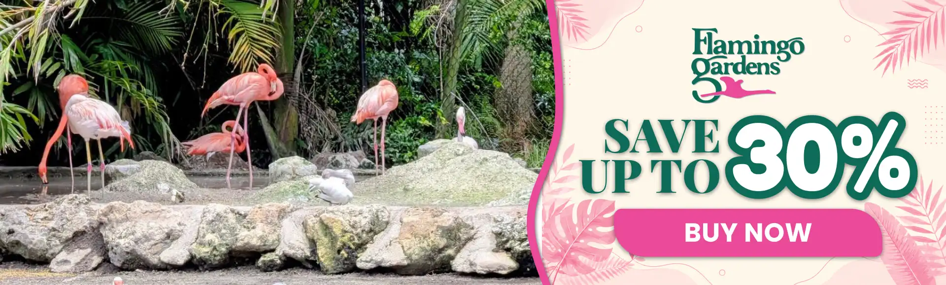  Flamingo Gardens
