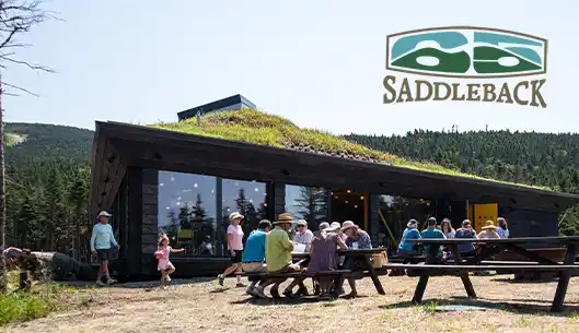 Saddleback Mountain