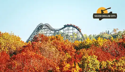 Silver Dollar City